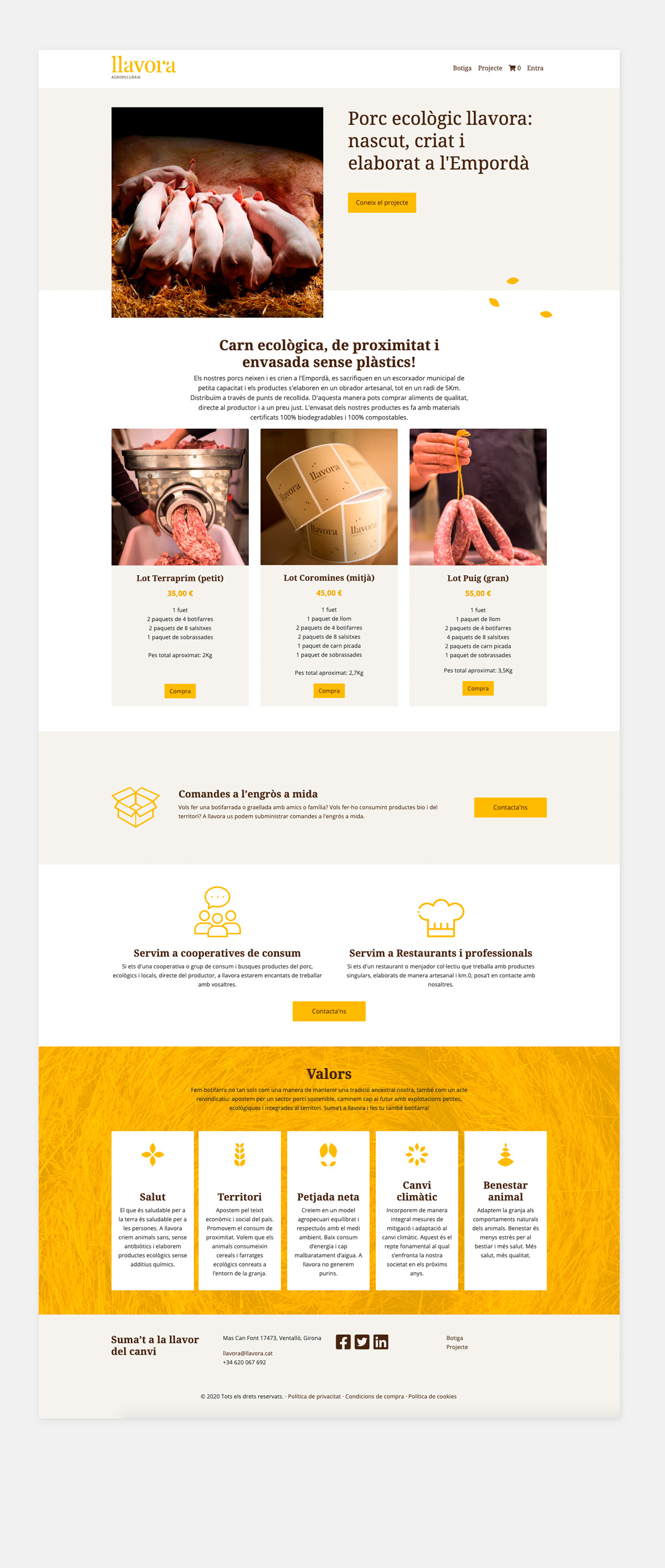 Desarrollo web