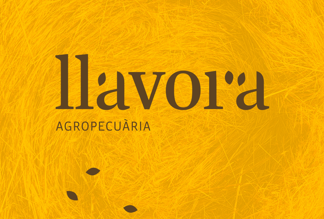 Llavora